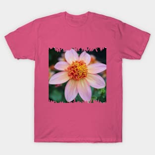 Sunset Dahlia T-Shirt